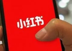 小红书教资项目!月入3000是真的吗?