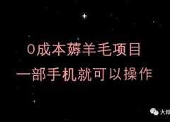 0成本薅羊毛项目,一部手机就可操作