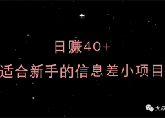 日赚40+,适合新手的信息差小项目
