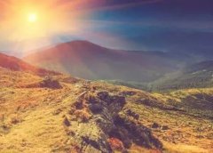 辞职搞副业,一天赚了2万,年底买车