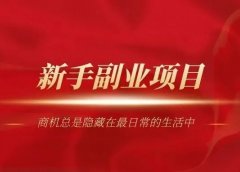 适合新手起步的第一个赚钱项目,副业月入过千很简单