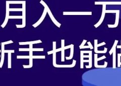 月入一万的赚钱项目,新手小白也能做