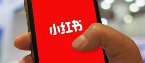 小红书教资项目!月入3000是真的吗?