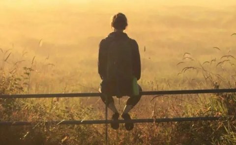 淘宝达人:阿里旗下平台,不开淘宝店,也能年入百万