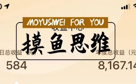 我在微博发现了能年入30万的项目。