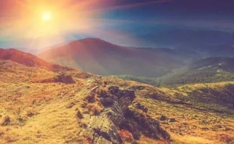 辞职搞副业,一天赚了2万,年底买车