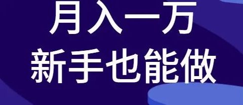 月入一万的赚钱项目,新手小白也能做