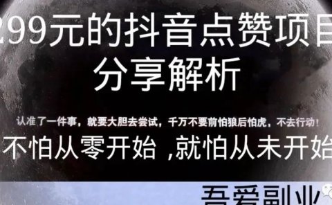 299元的抖音点赞项目分享解析