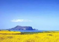 微头条这个副业还能不能做了?能赚到钱吗?