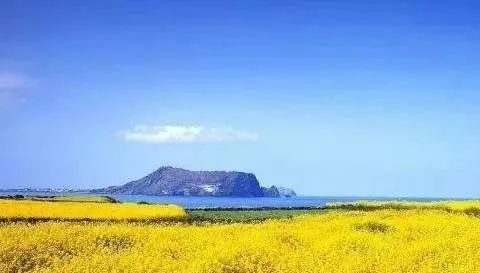 微头条这个副业还能不能做了?能赚到钱吗?