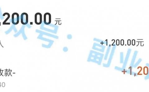 新手无门槛副业项目,不止搬砖这么简单,大有可为