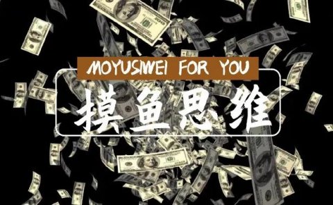 宠物托运项目:一单750,月入30万,这行业实在是暴利!