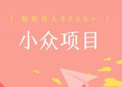 月入9000+ 的小众项目