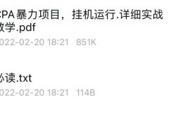 截流LSP,一天200-1000(附自动软件)