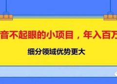 抖音不起眼的小项目,年入百万