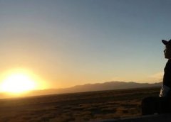 短网址+网盘分享资料赚钱,简单获取双重收入,每天多赚500+