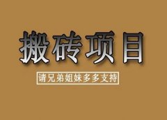 推荐一个搬砖项目,单号每天收入100+