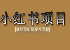 百度奇书计划:简单搬砖项目,单人操作可日赚400+