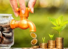 拇指西瓜一亩地投5000元，能赚2万！说个农村种植新项目~