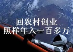 三农生意,照样年入一百多万