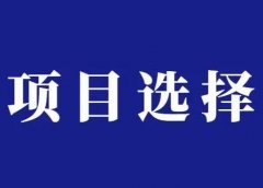 如何选择适合自己的项目?