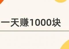 一天收益1000块,复制粘贴的赚钱项目