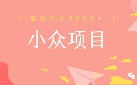 月入9000+ 的小众项目