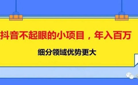 抖音不起眼的小项目,年入百万