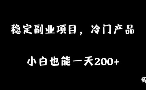稳定副业项目,冷门产品,小白也能一天200+