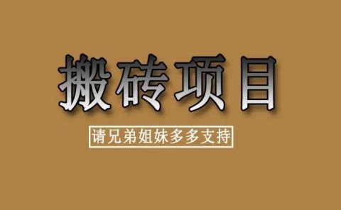 推荐一个搬砖项目,单号每天收入100+