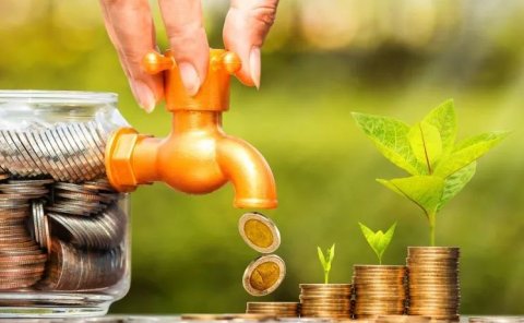 拇指西瓜一亩地投5000元，能赚2万！说个农村种植新项目~