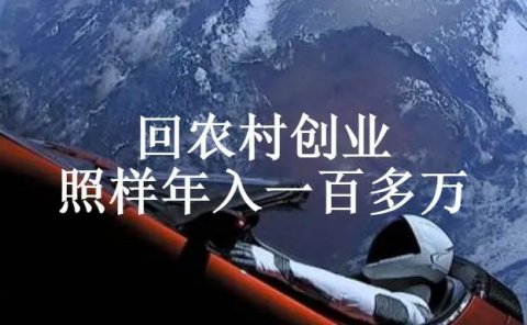 三农生意,照样年入一百多万