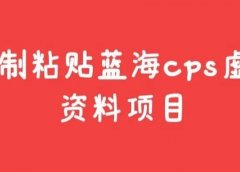 复制粘贴蓝海cps虚拟资料项目