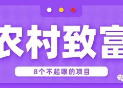 8个农村致富好项目!赚钱却一点不起眼