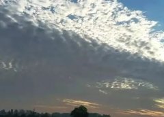 自媒体平台读书,一个月赚了9000多,他是怎么做到的?