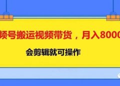 视频号搬运视频带货,月入8000+