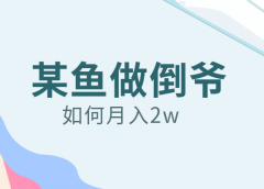 一看就会，月入2w副业 ,在某鱼做倒爷。
