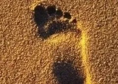 多多视频二十天收入20000+我是如何做到的?