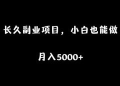 长久副业项目,小白也能做,月入5000+