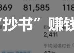拆解一个冷门项目:抄书赚钱,一天200+!【原创】