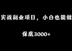 实战副业项目,小白也能月入3000+