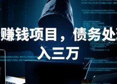 冷门蓝海赚钱项目,债务处理月入五万