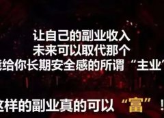 1天收入2000+的付费咨询项目,做越久越吃香。