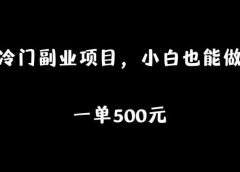 冷门副业项目，小白也能做，一单500元