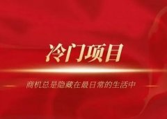 不起眼的冷门暴利项目，零门槛一个人就能搞定