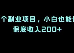 2个虚拟资源副业项目,小白也能做,保底收入200+