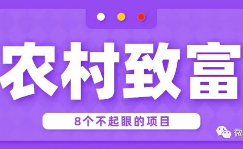 8个农村致富好项目!赚钱却一点不起眼