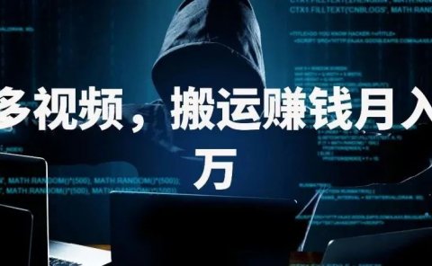 多多视频,搬运赚钱月入三万