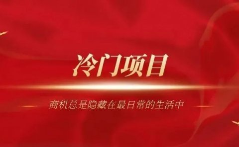 2个冷门副业赚钱项目,做好了收入比上班高三倍!