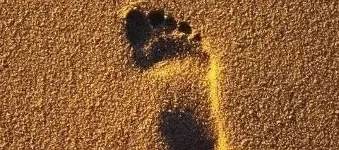 多多视频二十天收入20000+我是如何做到的?